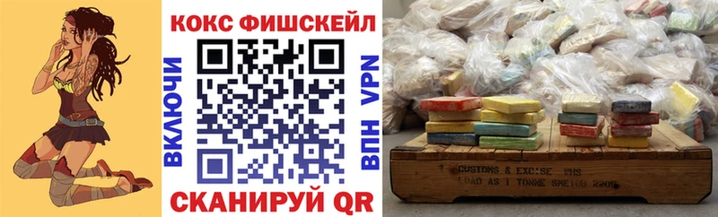 Cocaine FishScale  купить закладку  Курган 