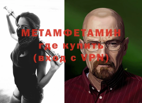 ПСИЛОЦИБИНОВЫЕ ГРИБЫ Дмитриев