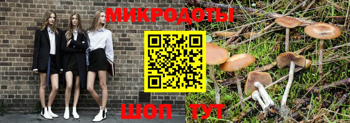 Псилоцибиновые грибы MAGIC MUSHROOMS Курган