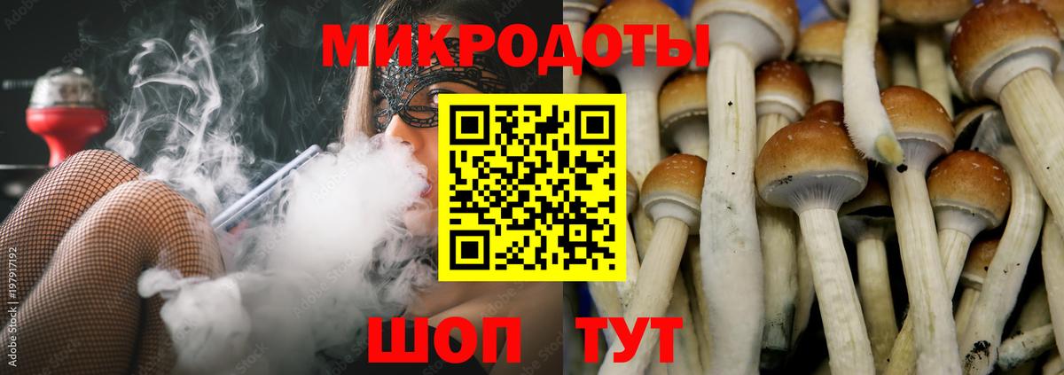Псилоцибиновые грибы GOLDEN TEACHER  Вход с VPN  где продают наркотики  Курган  Галлюциногенные грибы мицелий 