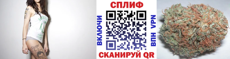 Марихуана гибрид  Курган 